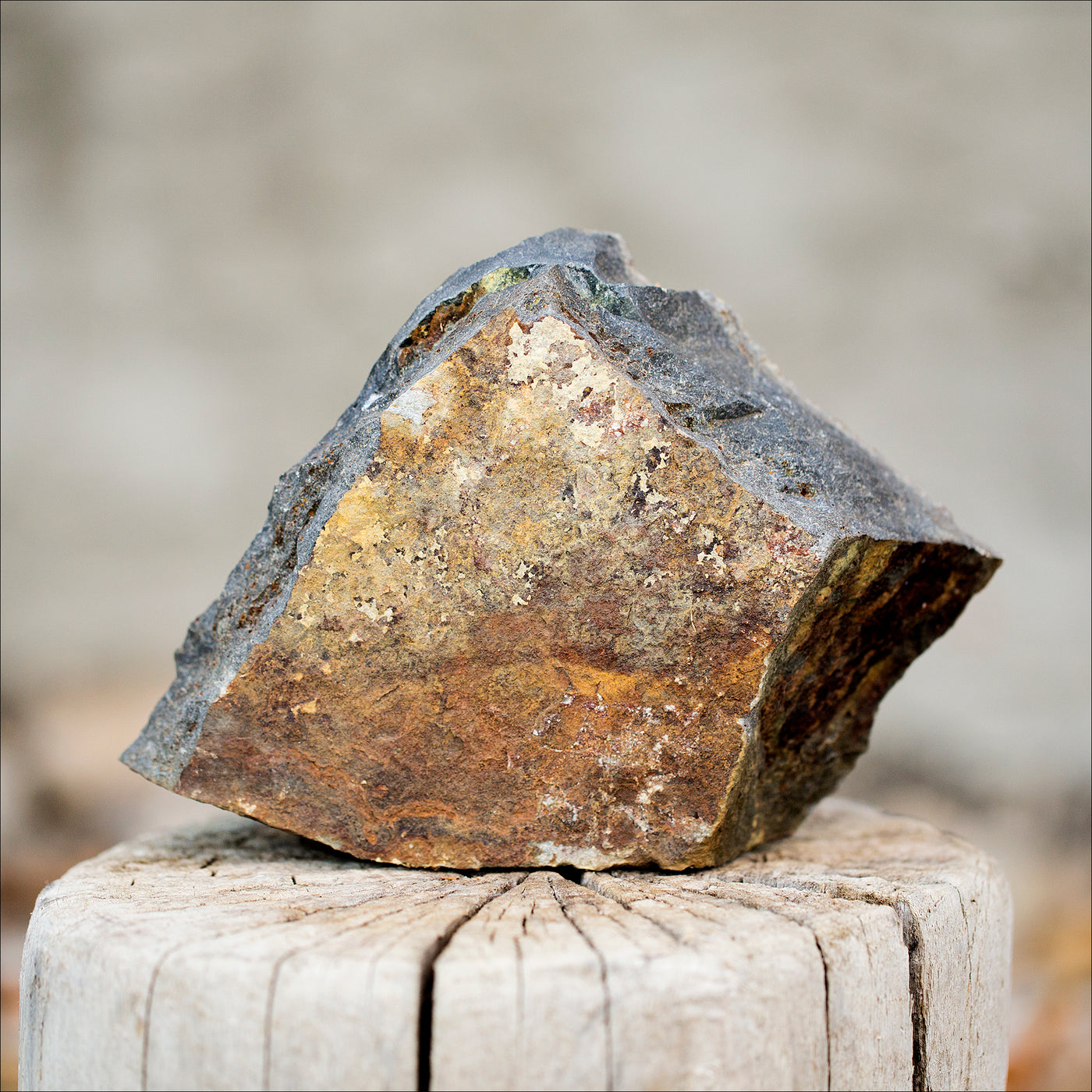 Stones (Flagstone) -  Autumn Brown / MINI - Option 1A