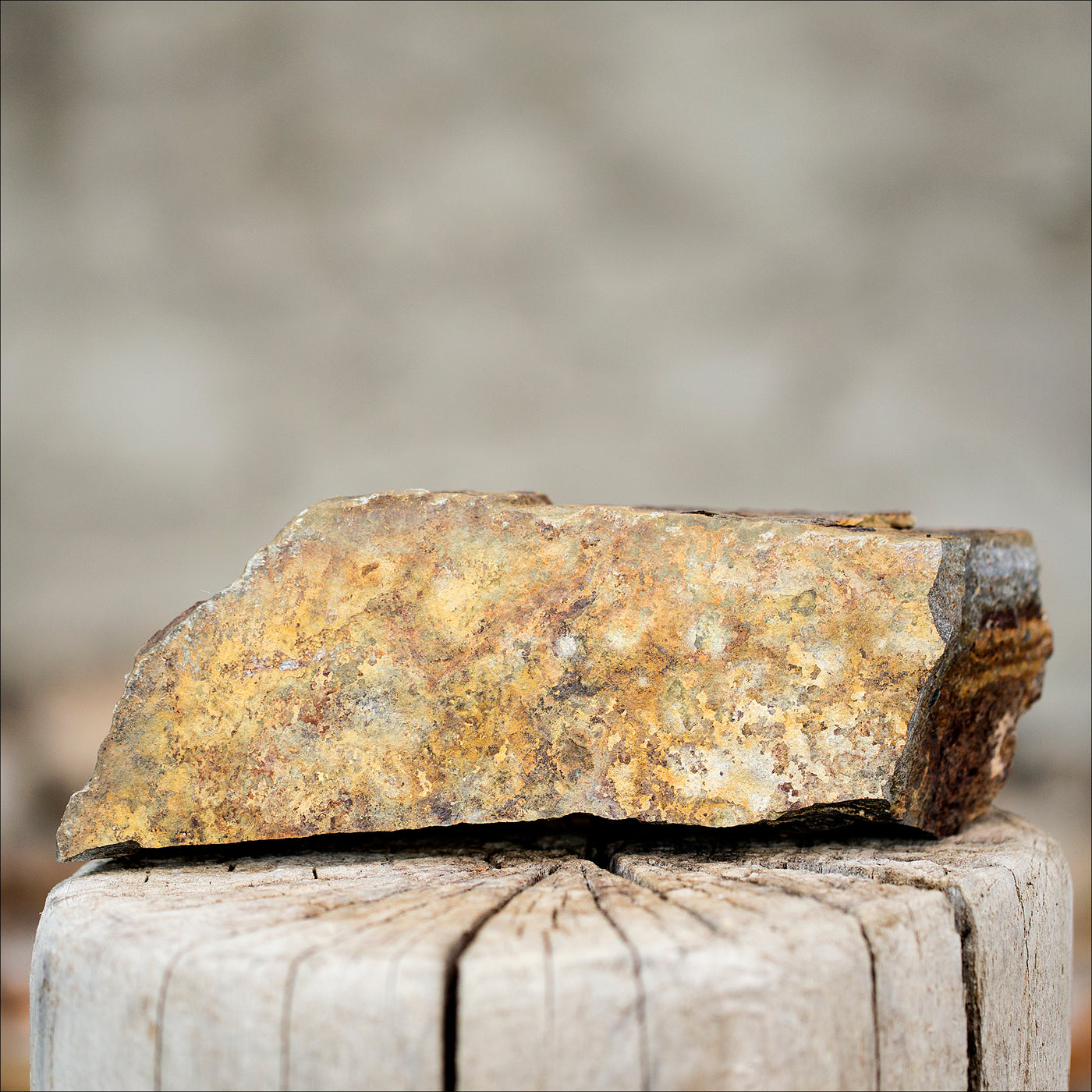 Stones (Flagstone) -  Autumn Brown / MINI - Option 3C