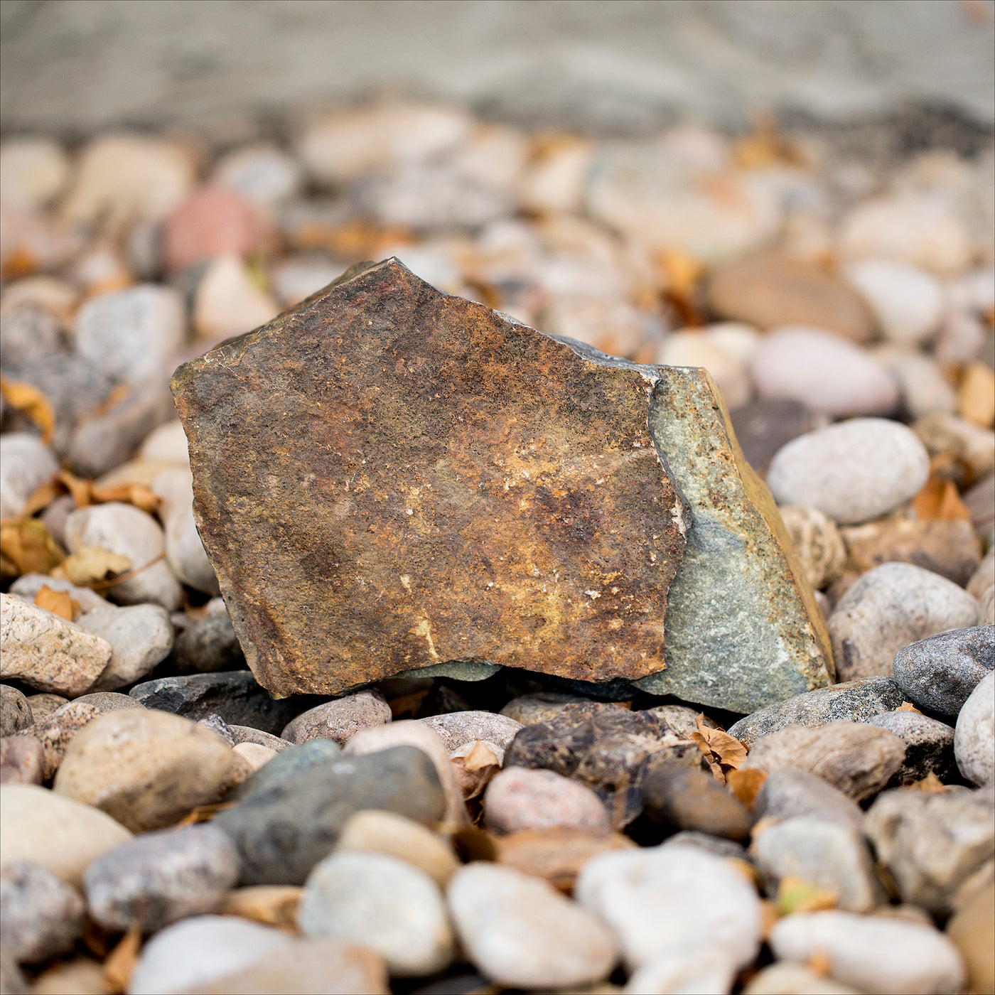 Stones (Flagstone) -  Autumn Brown / SMALL - Option 1