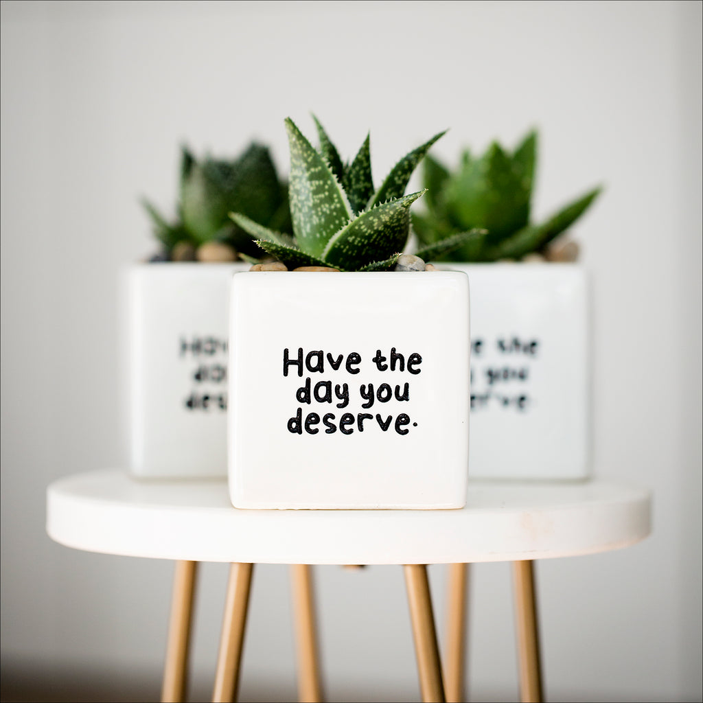 inside out plant pot Planters & Pots - Cactus series - Sarcasm - Humourous Gifts