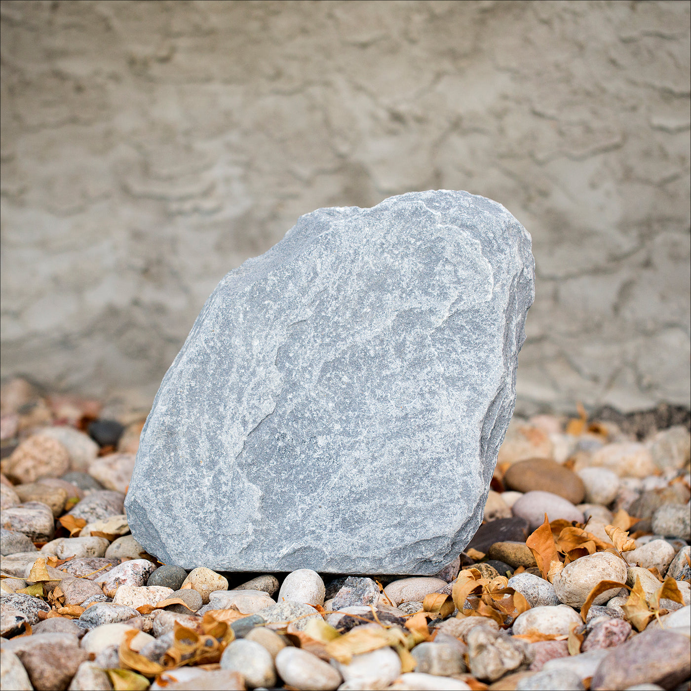 Stones (Flagstone) - Pearl Grey / LARGE - Option F