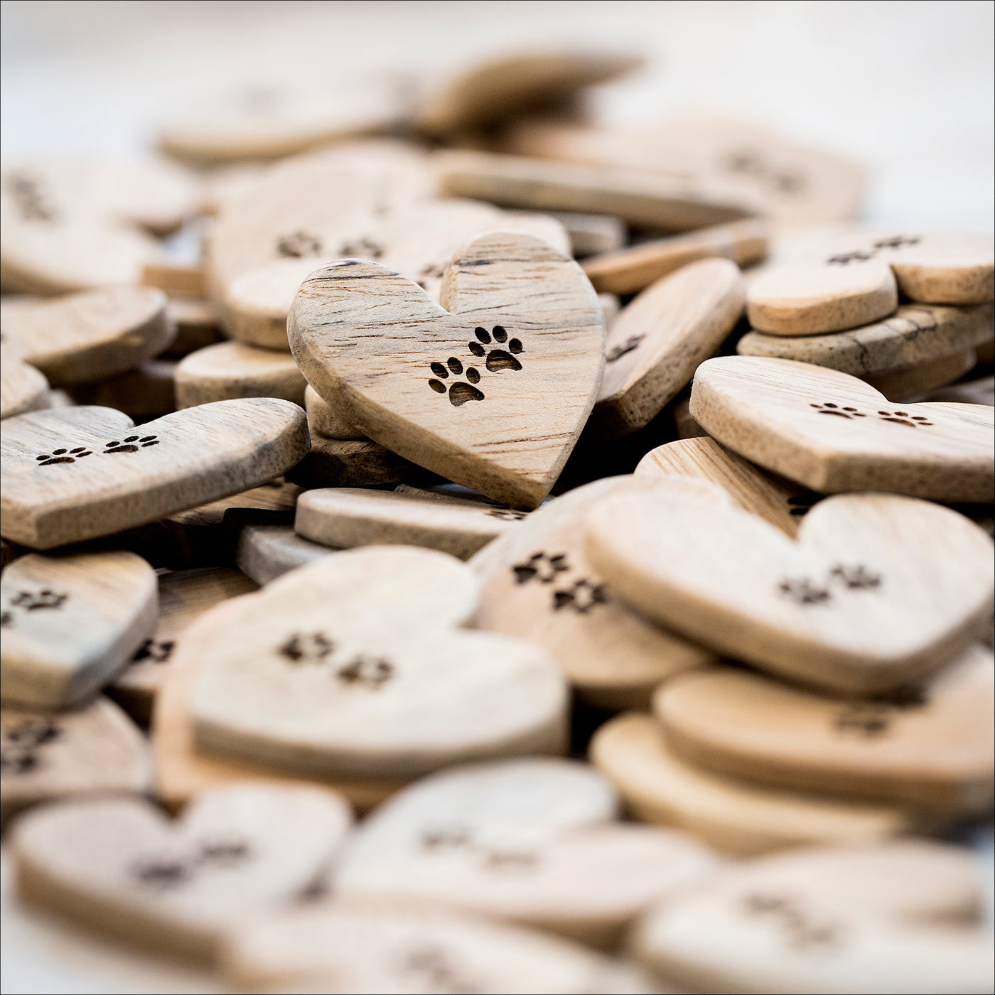 Wood Hearts (Mango) - Pawprints left by you..