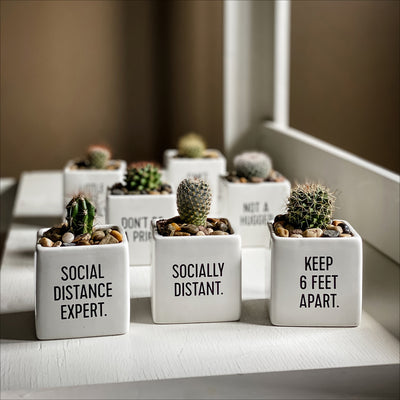 Covid funny gifts for holiday season, Christmas gifts. Socially Distant planter and gift