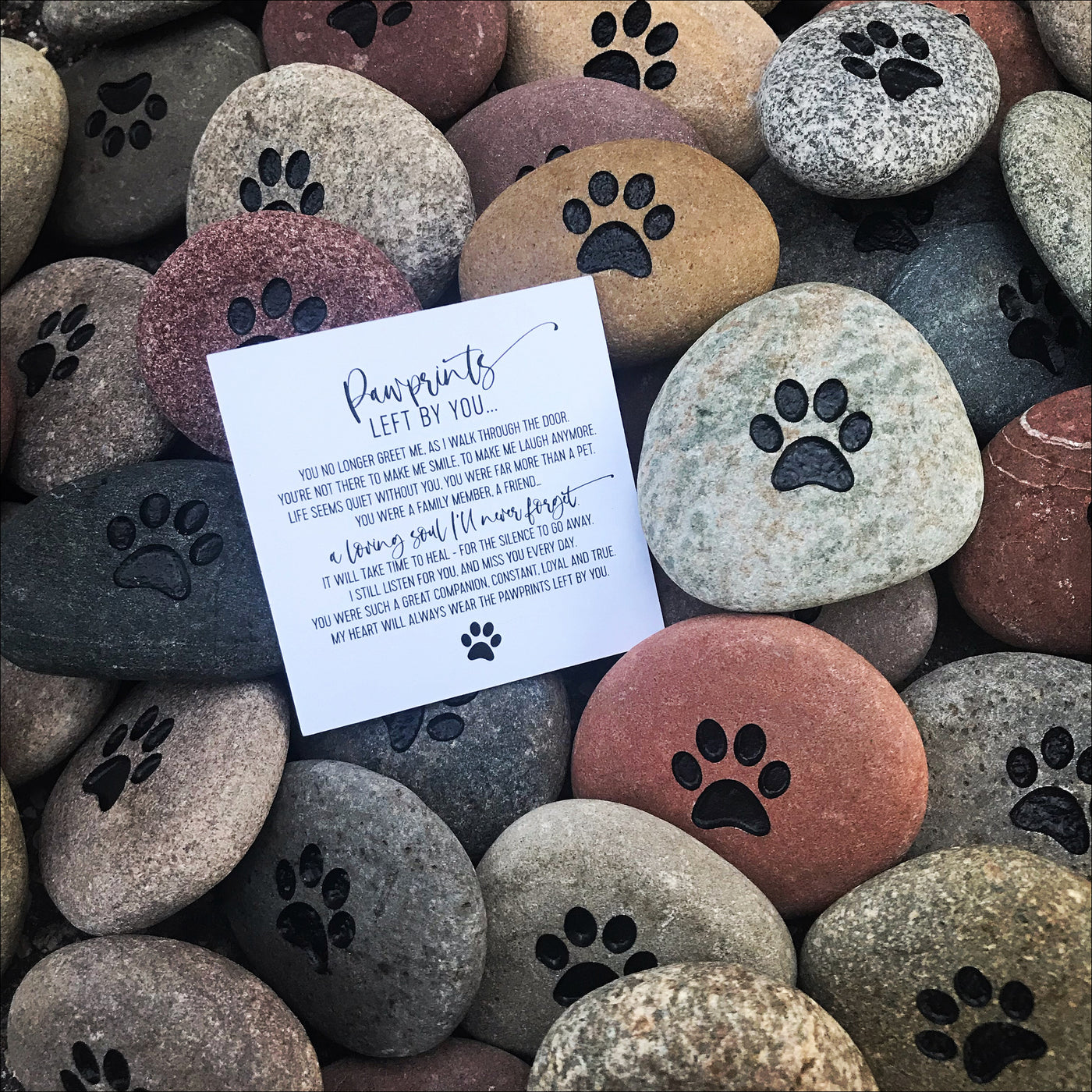 Stones (River Rock) - Pawprints Left By You