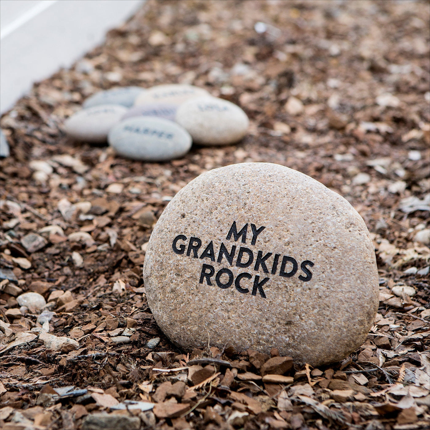 Stones (River Rock) - Family Rocks - Set 6
